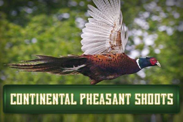 4R Ranch Continental Pheasant Shoots